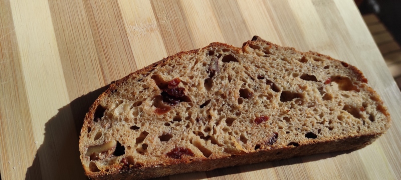 Slice of sprouted wheat pulp bread