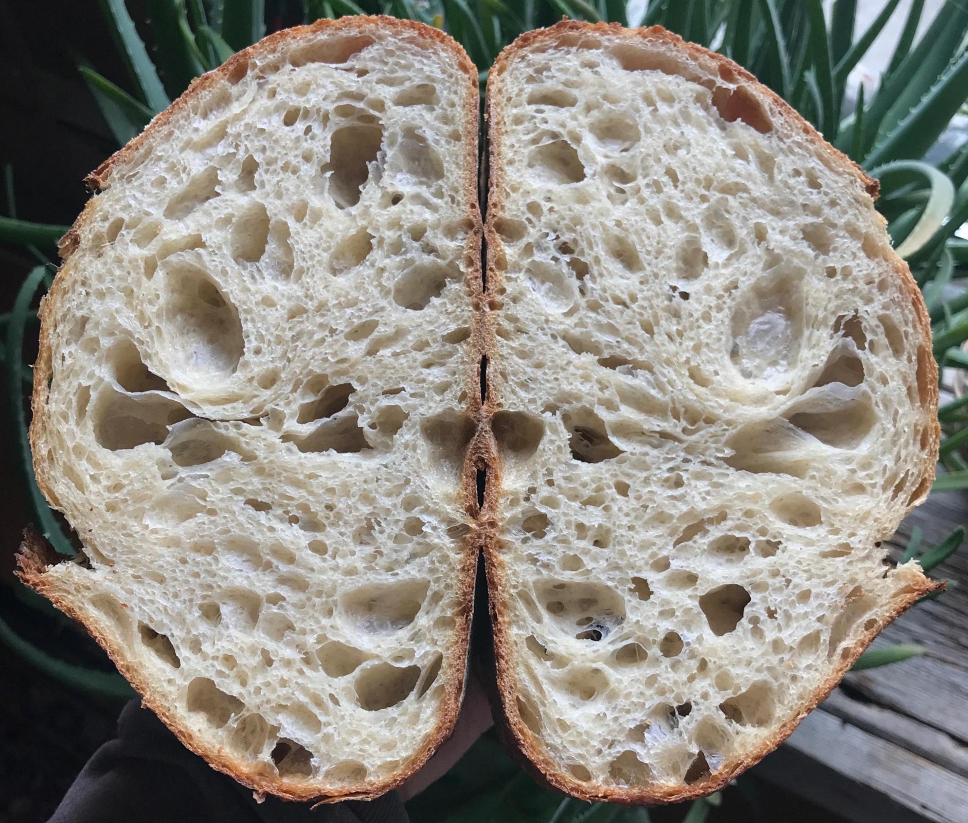 Tartine Crumb