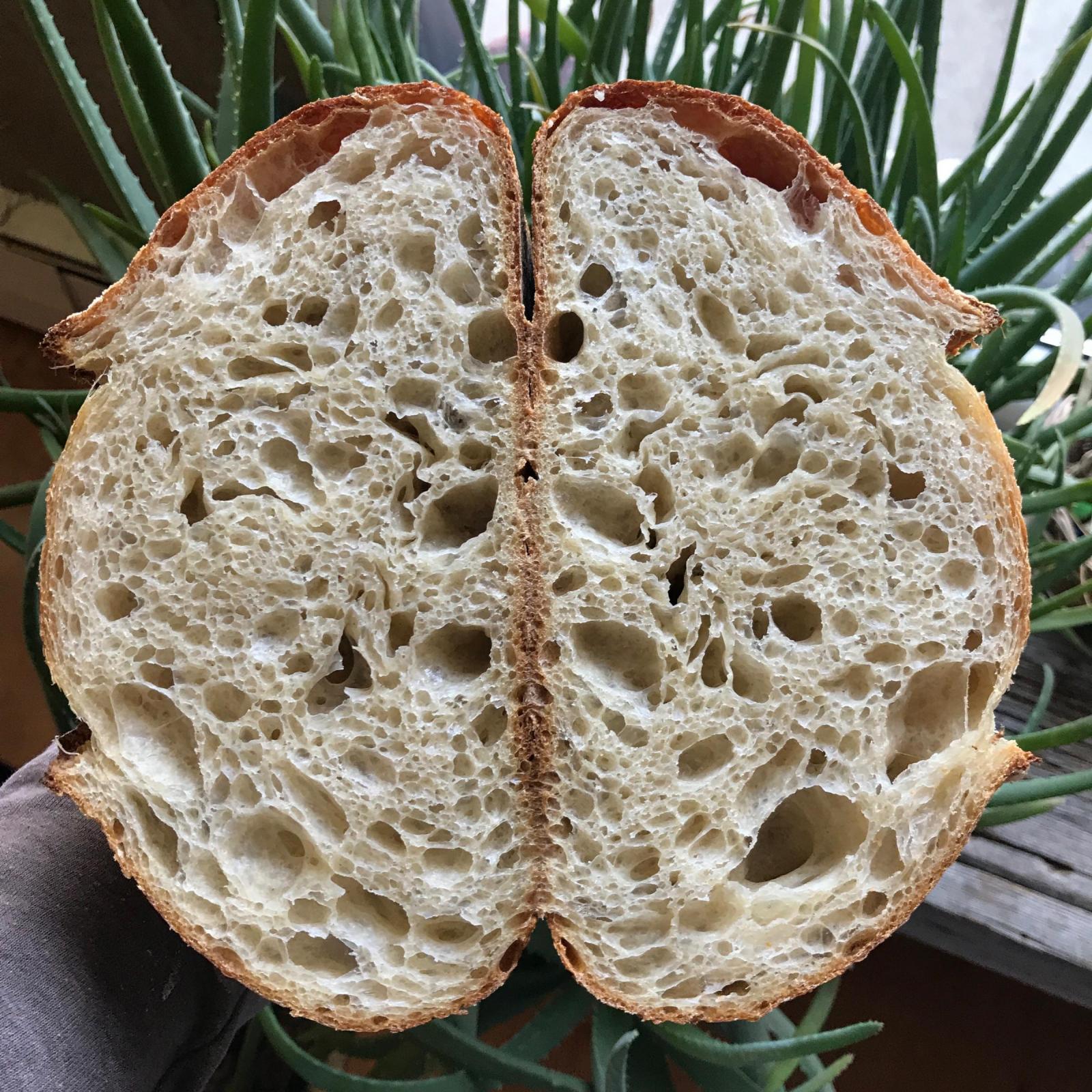 Tartine crumb