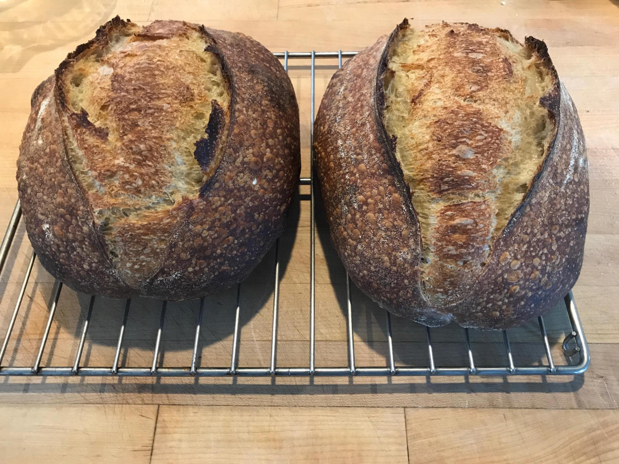 Baked Tartine