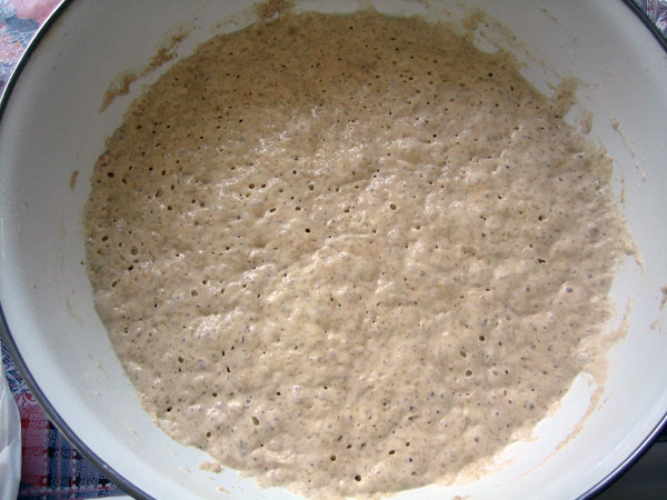 bubbly dough